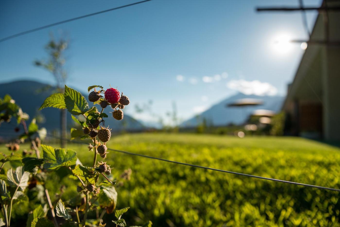 Pataunerhof Tirol Exteriér fotografie